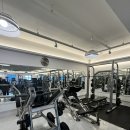 Y트레이닝센터 | Y트레이닝센터에서 하체운동 받고 온 솔직 후기