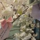 S보톡성형외과의원 이미지