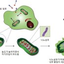 울산과기원, 암 치료 ‘새 지평’ 열다 이미지