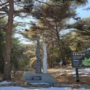 죽도얼음