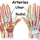 보은한의원 이미지