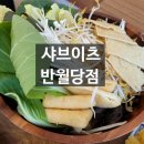 샤브이츠 반월당점 | 내돈내산 샤브이츠 반월당샤브샤브