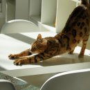 등대부동산중개 | 부동산강의 내돈내산 후기, 월급쟁이부자들 양파링님 강의후기