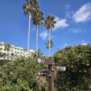 한반도로 | 제주 남원 맛집 후 산책 딱이었던 곳 큰엉해안경승지 한반도지형 포토존 올레5코스 후기