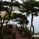 중원관광 이미지
