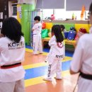 학사태권도 이미지