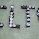 그린카타운 이미지