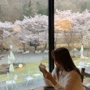 연리지민박 | 전남 담양 감성 숙소 _까망감스테이 (Camanggstay)