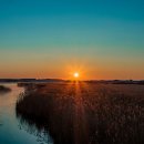 팡팡과일 이미지