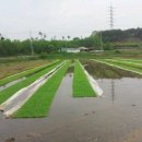 원두골농장 이미지