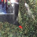 탕탕게임랜드 이미지