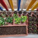 고촌어린이집 이미지