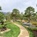 이대성5호 이미지