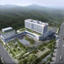 도담동싱싱장터앞BRT 이미지