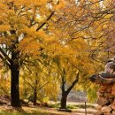 은행마을로 이미지