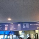 해향 이미지