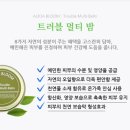 촉촉한녀석들