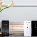 시그니처에디션 이미지