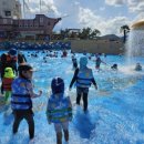 주호태권도 이미지