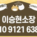 자인파출소 이미지