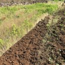 정주네농장 이미지