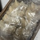 선물도담 이미지