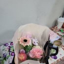 화기애애플라워&플랜트