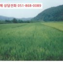 임당천 이미지