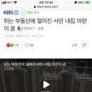 아파트값 폭등으로 인한 청장년층의 분노가 심각합니다 이미지