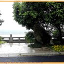 국빈관 - 의령군 의병로16길 7 | 국빈관