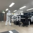 청춘클린호남지사 | 코로나로 광주방역업체 사무실 소독작업 긴급출동 후기