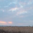 용인대일출태권도장