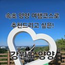 양양이 | 강원도 양양여행 &#34;레포밸리&#34; 짚라인 타러 다녀온 후기!