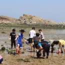 세풍초등학교 이미지