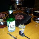 나노갈매기 이미지