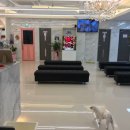 쪼꼬동물메디컬센터 이미지