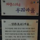 양촌마을 이미지