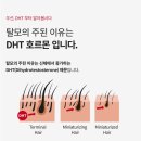 플랜비바이오