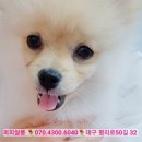 뭉치쌀롱 이미지