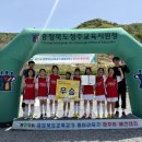 한국교원대학교부설월곡초등학교 이미지