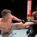 스테이조제 이미지