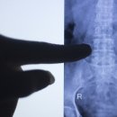 필마취통증의학과의원 이미지