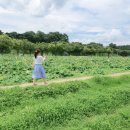 용산슈퍼휴게소