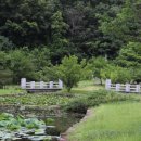 상리길(풍산읍) 이미지