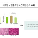 프루너스 사료 : 라메르 닥터 해피 다이어트 케어 ( LAMER Dr. HAPPY DIET CARE ) 이미지