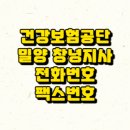 밀양시청 서문 옆 티스토리