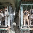 종식농장 이미지