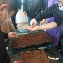 남원장애인종합복지관 이미지