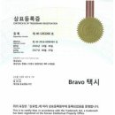 브라보 뉴시스