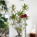 숯불갈비비원 이미지